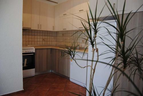 Apartman Lux Centar