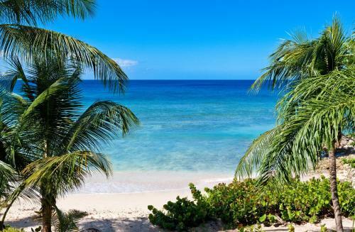 Apartamento Schooner Bay 201- Flamboyant