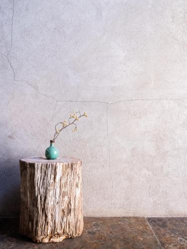 Apartamento Shelter 7