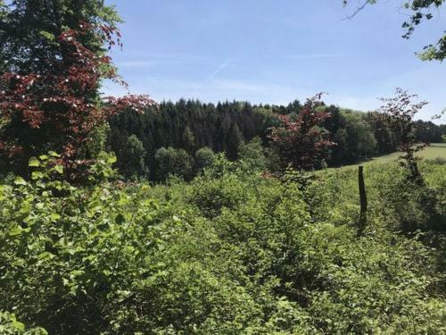 Vakantiehuis Durbuy Nature