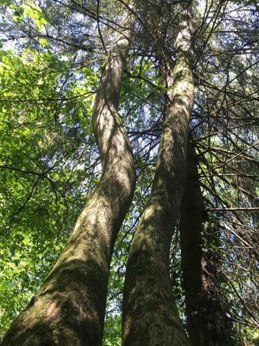 Vakantiehuis Durbuy Nature