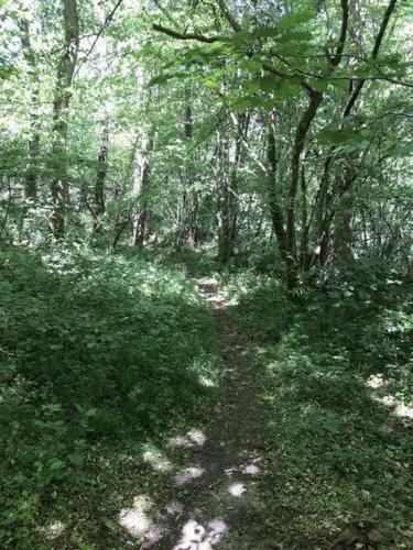 Vakantiehuis Durbuy Nature