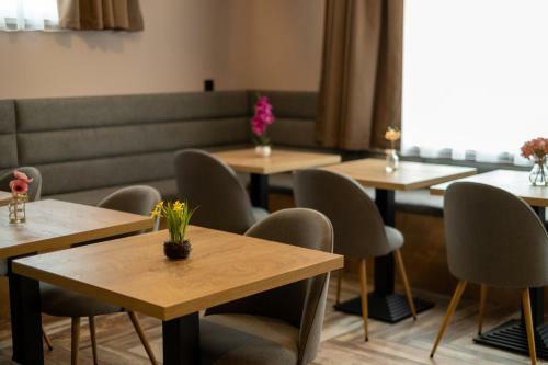 Hostal Villa Pino