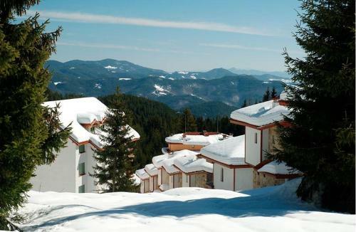 Ski Villa In Pamporovo Forest