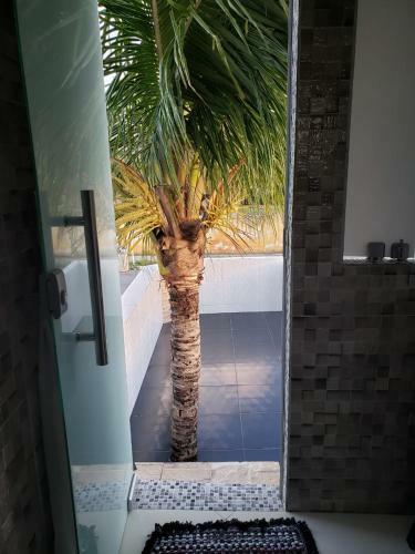Quarto Tipo Kit Net Na Parte Externa Da Casa