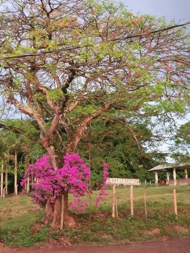 Hotel Pousada Recanto Da Lunane