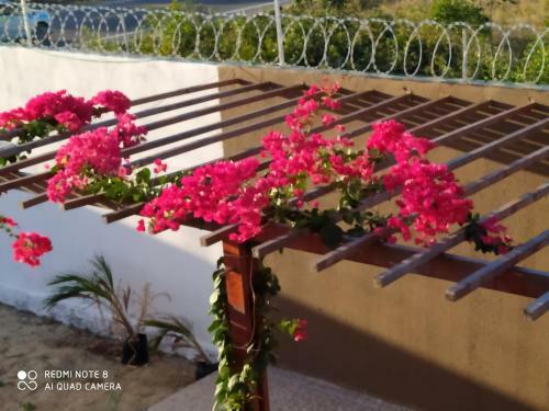 Hostal Encantos Morro Branco