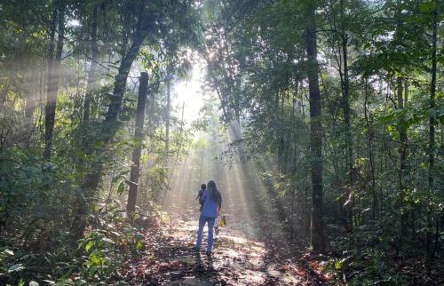 Reservamazon Forest Hotel