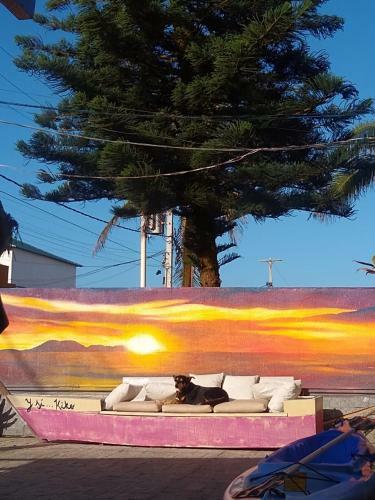 Beach Hostel & Suites Los Pibes de Flores