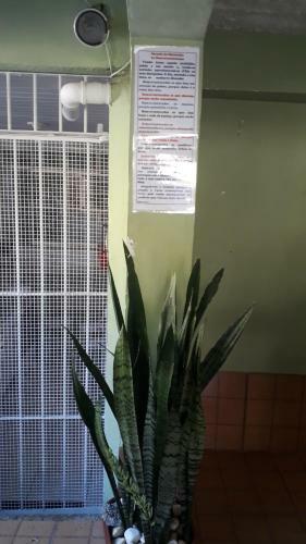 Espa�o Hol�stico Amor E Luz