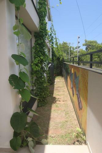 Recanto Da Horta ? Viva O Natural Em Floripa