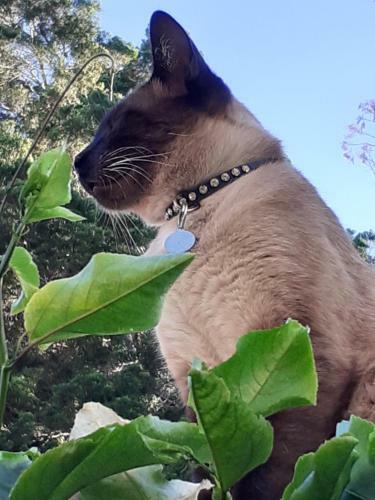 Casa de Amora, Conforto E Beleza Em Meio A Natureza
