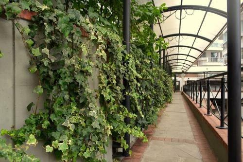 Apartamento Locar-in Gramado Homelland - 204