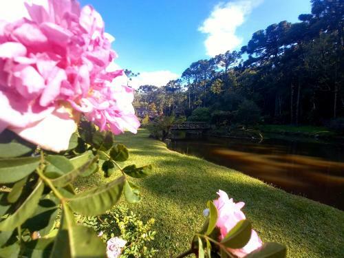 Apartamento Su�te Beija Flor