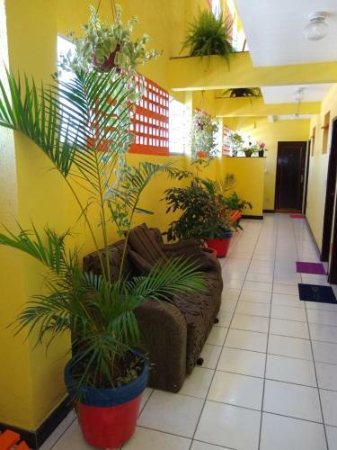 Apartamento 1 Quarto 2 Camas De Solteiro