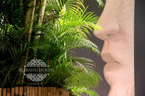 Smartcamp Ilhabela