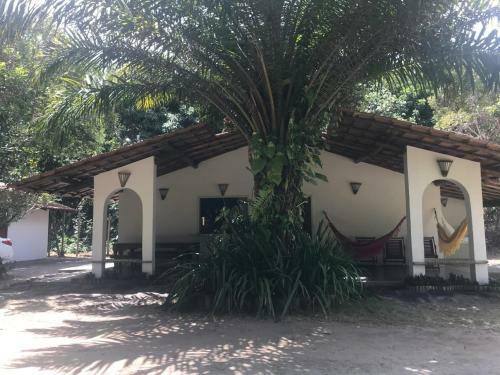 C�u De Pitinga