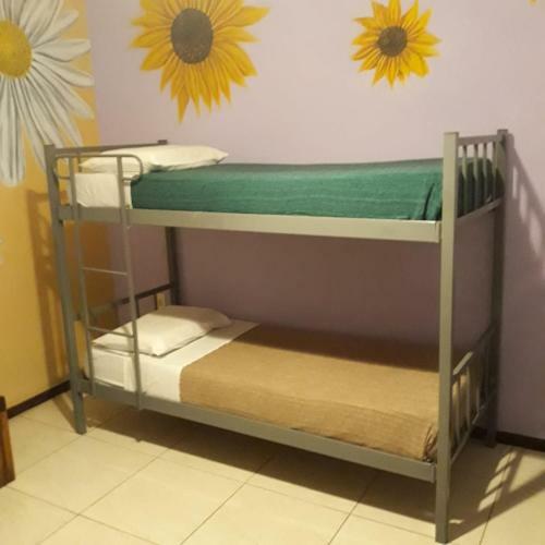 Albergue El Jardin