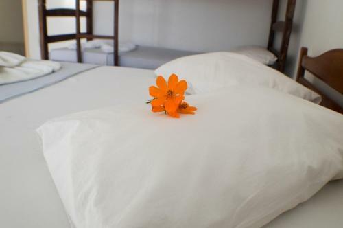 Hostal Pousada Coqueiros
