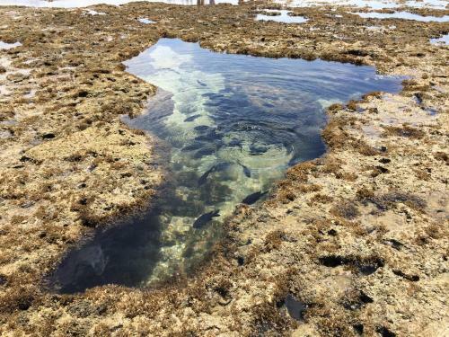 Hostal Solar Teixeira Flats