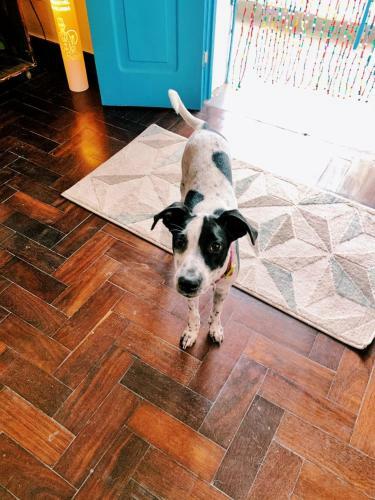 Camping Debaixo Do P� De Manga