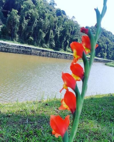 Hotel Estancia Pilar