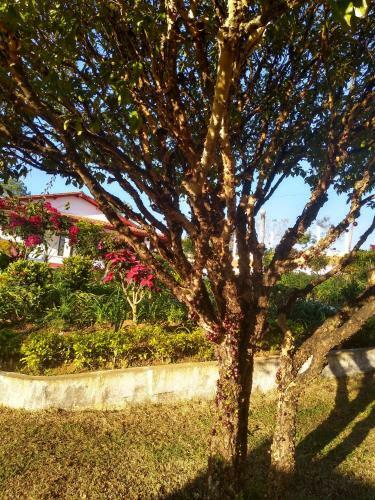 Hostal Recanto Elamar