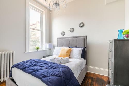 Upscale 1br - Boutique Apartment - Prime Location Downtown!