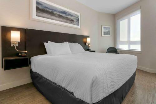 Hotel Quality Inn