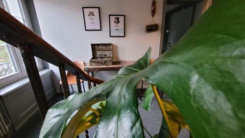 No8 Boutique Hotel