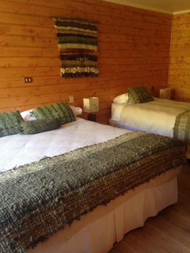 Peumayen Lodge & Termas