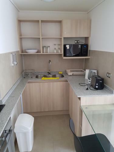 Apartamento Con Jardin A Pasos Del Mar La Serena