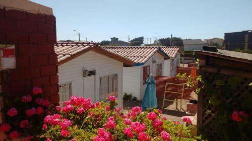 Hotel Y Caba�as La Rosa Nautica