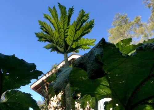 Lodge Casa Gioia