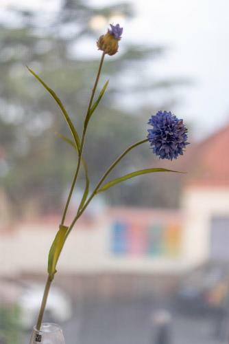 Qingdao Top Yunyin Homestay