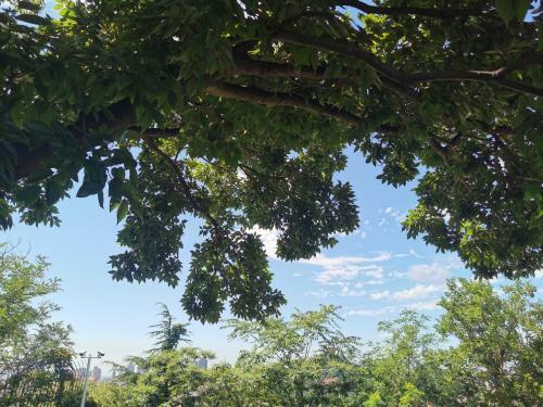 Qingdao Top Yunyin Homestay