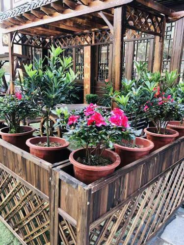 Floral Hotel Fengxue Yeguiren