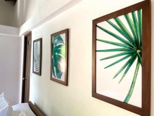 Bed & Breakfast Casa Betel Hotel Boutique