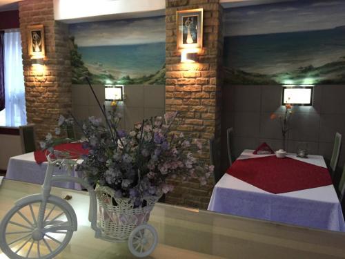 Hostal Breeze Baltiki