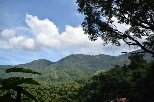 Hospedaje Los Pinos, Caba�a En Minca