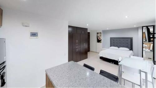 Apartamento Estudio de Lujo La Frontera Piso 2 Con Balcon