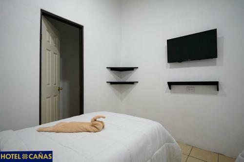Hotel Ca�as
