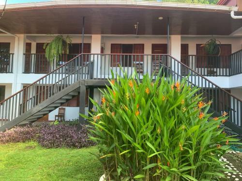 Hotel H�tel Pez Gallo