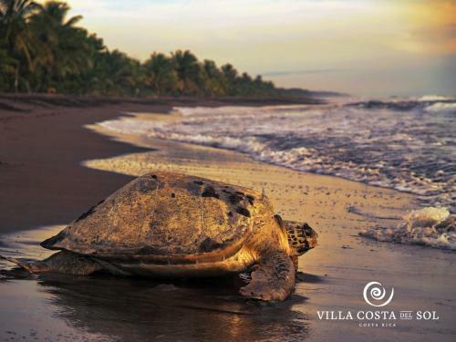 Villa Costa Sol, Luxury Ocean View Villa W/breakfast And Shuttle