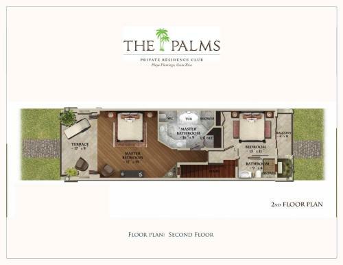 Palms 24