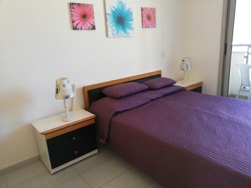 Polyxenia Holiday House