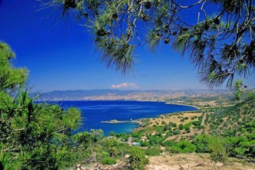 Luxury 4 Bedroom Villa With Private Pool, Protaras Villa 1226