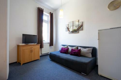 Apartamento Studio Wellnerova 3