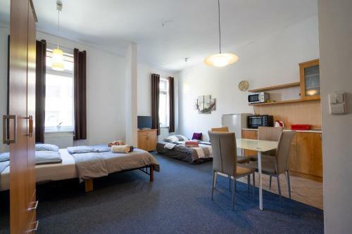 Apartamento Studio Wellnerova 3