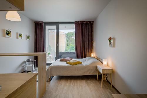 Homy Apartments